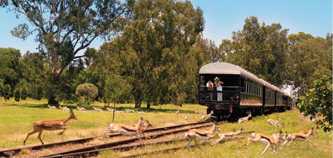 Your Invitation to Africa’s Most Exclusive Train Journeys